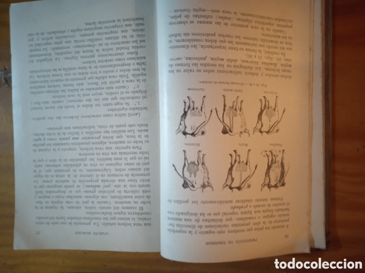 Libros antiguos: Zootecnia General. P. Diffloth. 2 tomos. - Foto 8