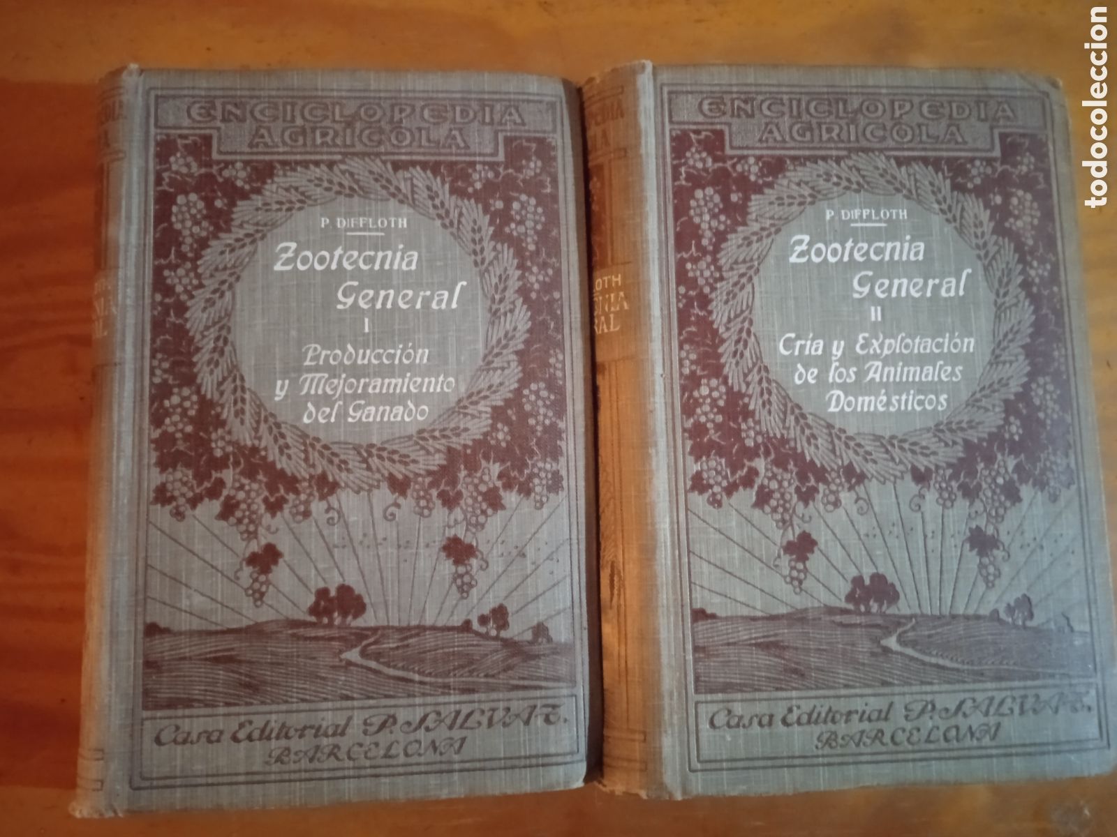 Libros antiguos: Zootecnia General. P. Diffloth. 2 tomos. - Foto 1