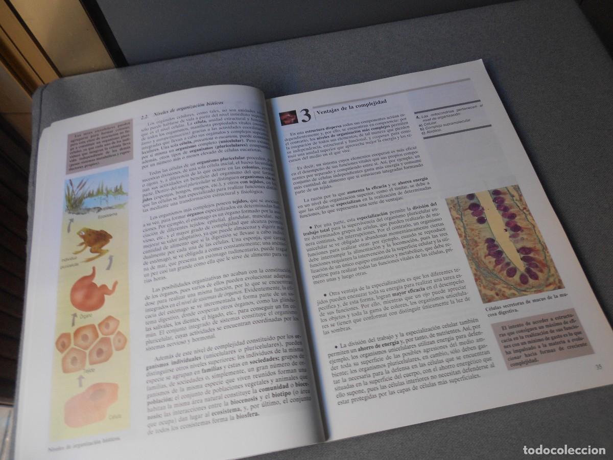 Libros antiguos: BIOLOGIA - Foto 4