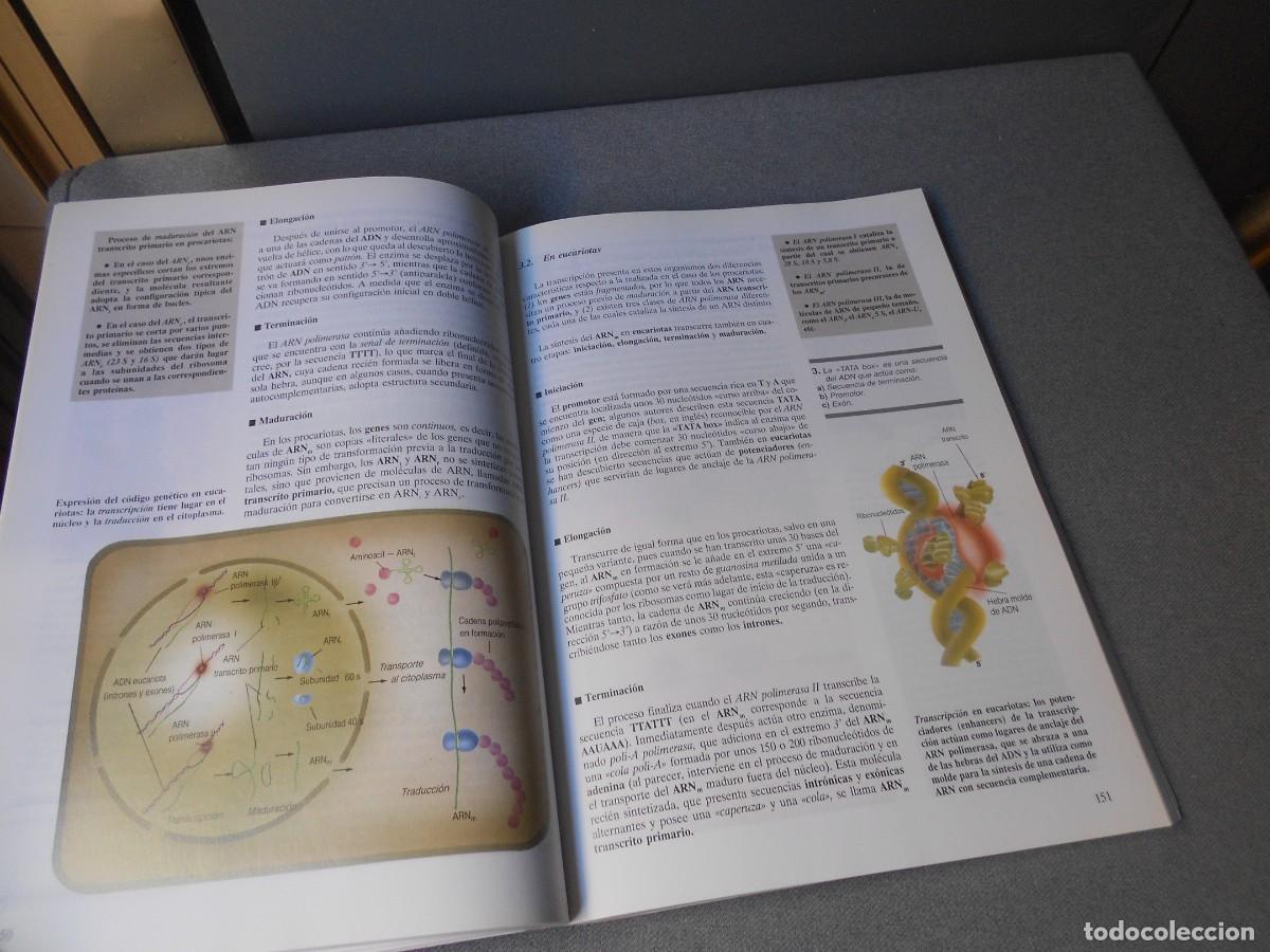 Libros antiguos: BIOLOGIA - Foto 7