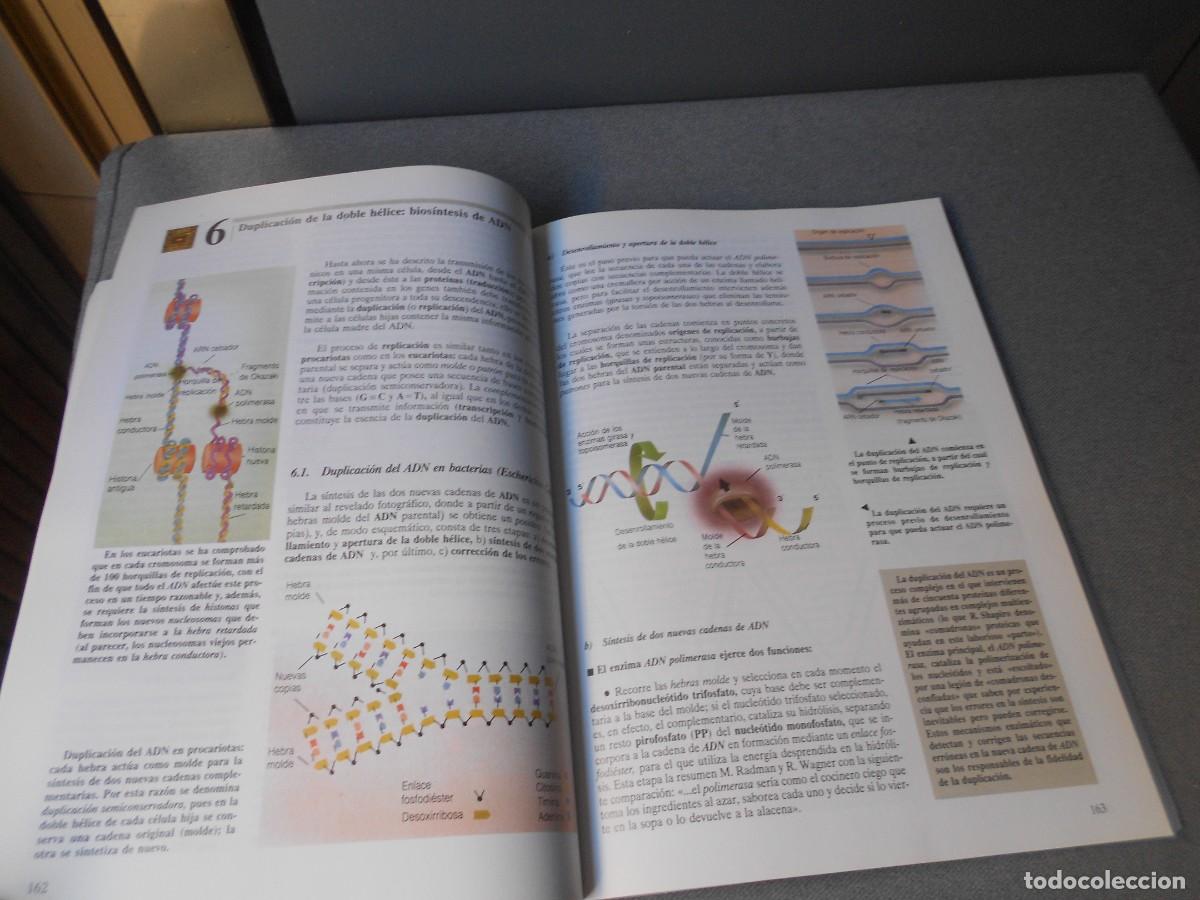Libros antiguos: BIOLOGIA - Foto 8
