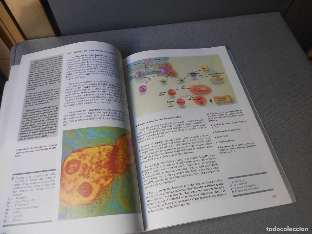 Libros antiguos: BIOLOGIA - Foto 9