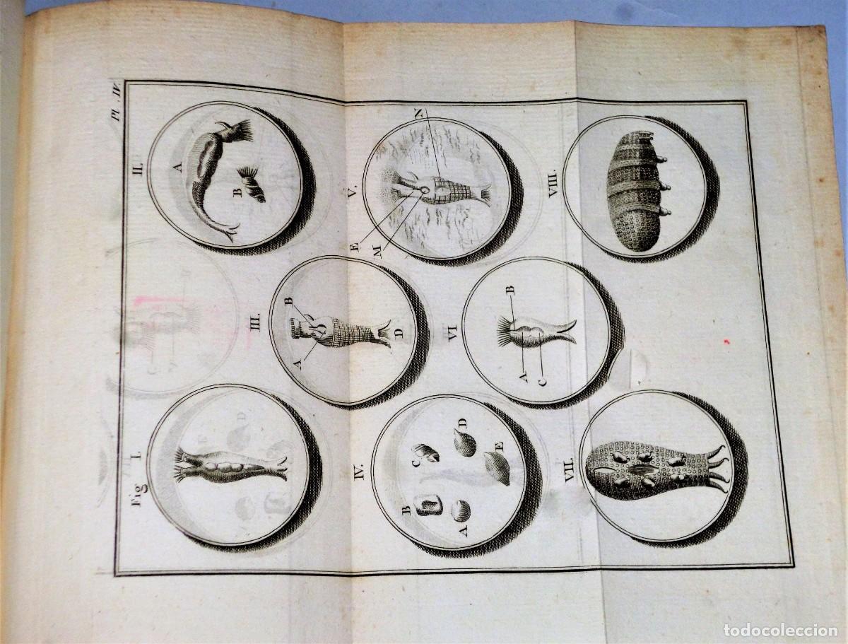 Libros antiguos: OPUSCULES DE PHYSIQUE ANIMALE ET V&Eacute;G&Eacute;TALE - Foto 6
