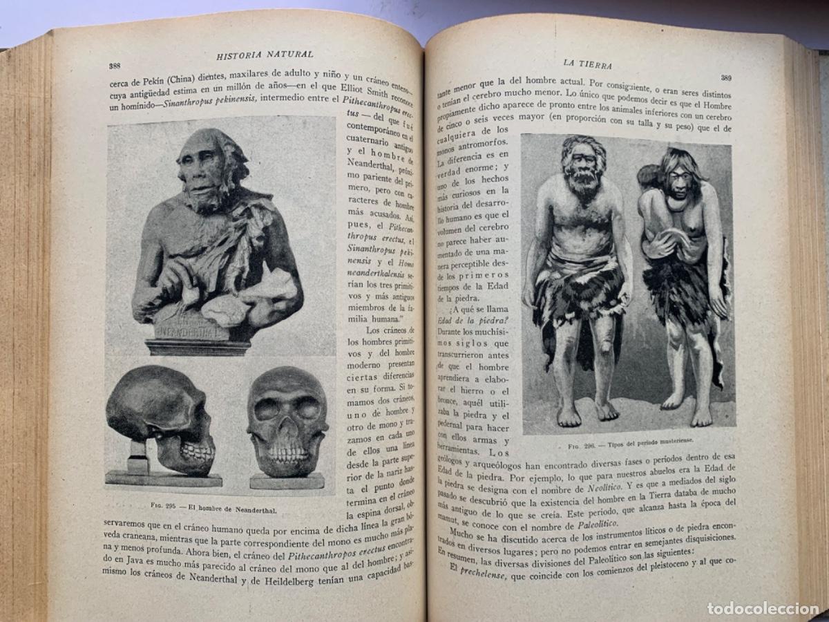 Libros antiguos: Historia Natural de la Creaci&oacute;n - Foto 4