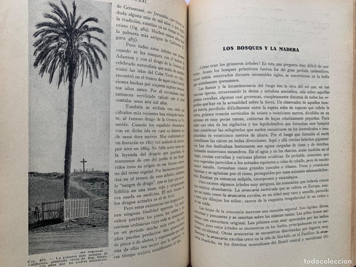 Libros antiguos: Historia Natural de la Creaci&oacute;n - Foto 7