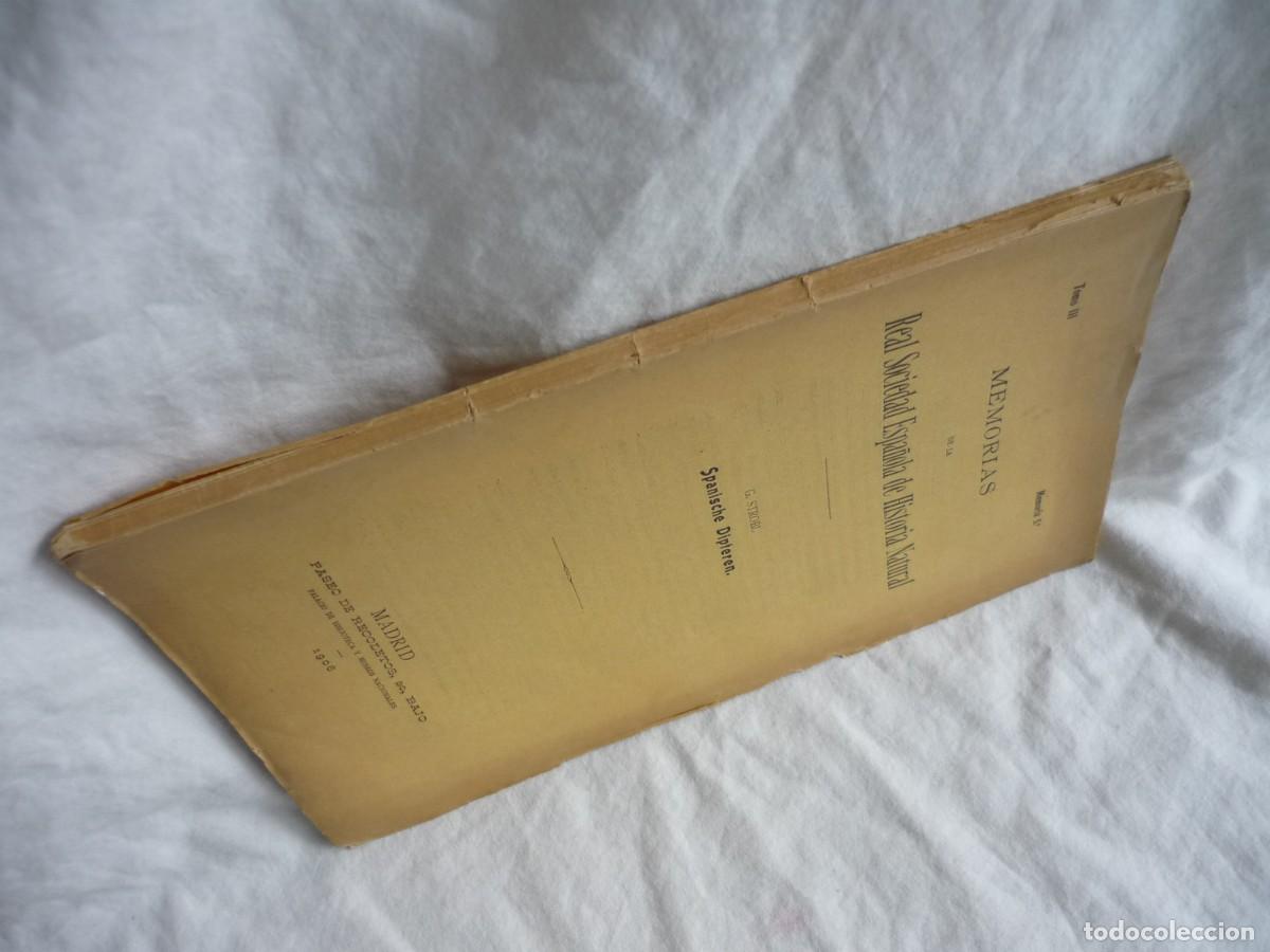Libros antiguos: Spanische Dipteren, G. Strobi 1906, 150 p&aacute;g. en alem&aacute;n - Foto 3