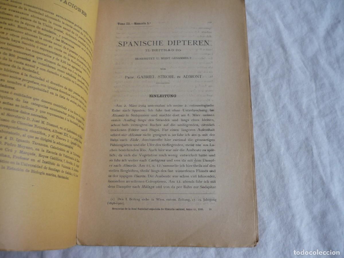 Libros antiguos: Spanische Dipteren, G. Strobi 1906, 150 p&aacute;g. en alem&aacute;n - Foto 5