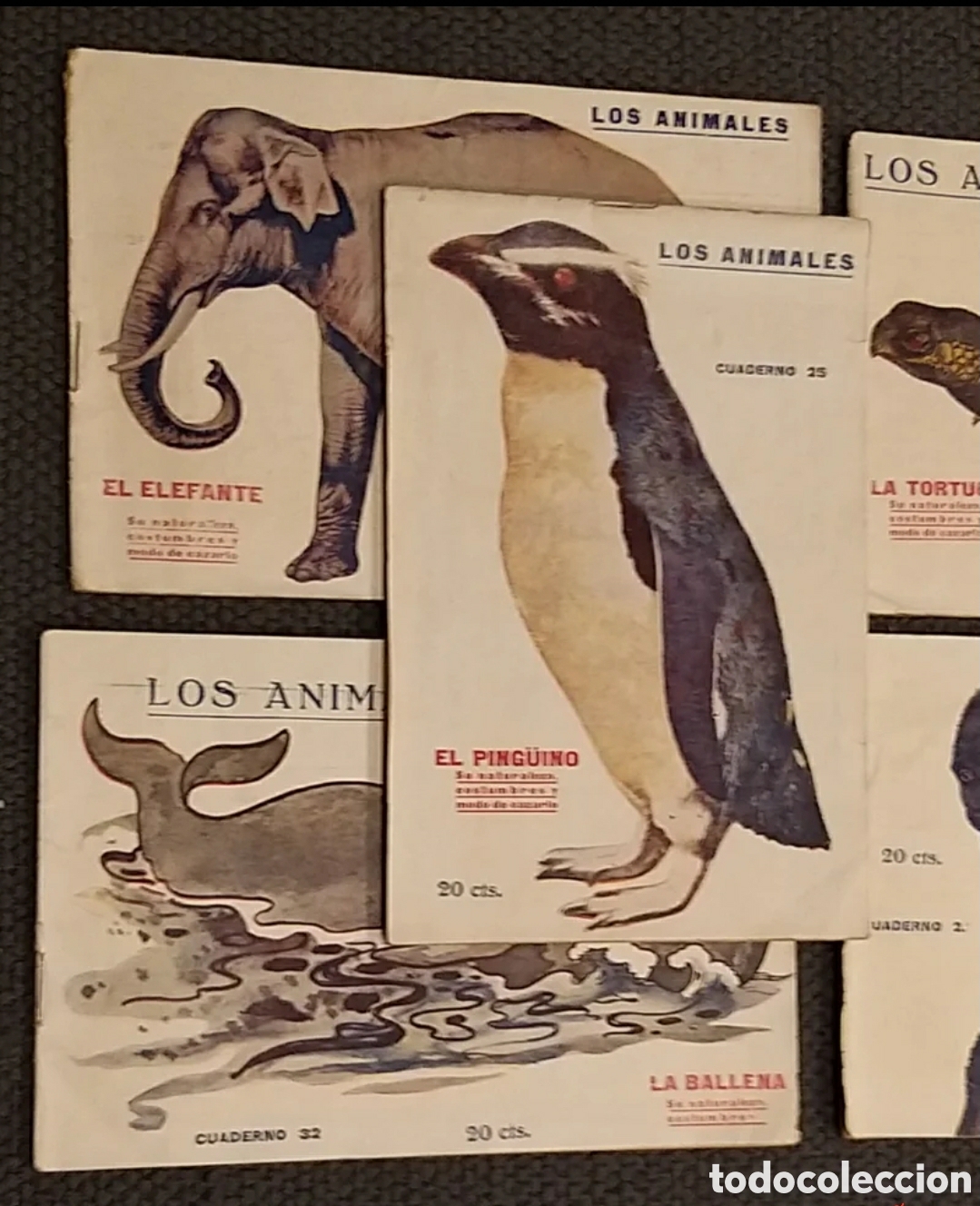 Libros antiguos: Los Animales. 4 cuadernos. 1919. - Foto 2