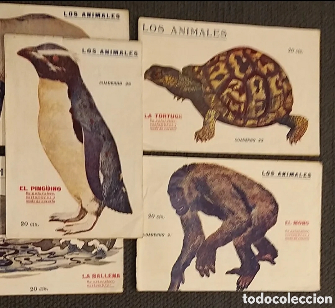 Libros antiguos: Los Animales. 4 cuadernos. 1919. - Foto 3