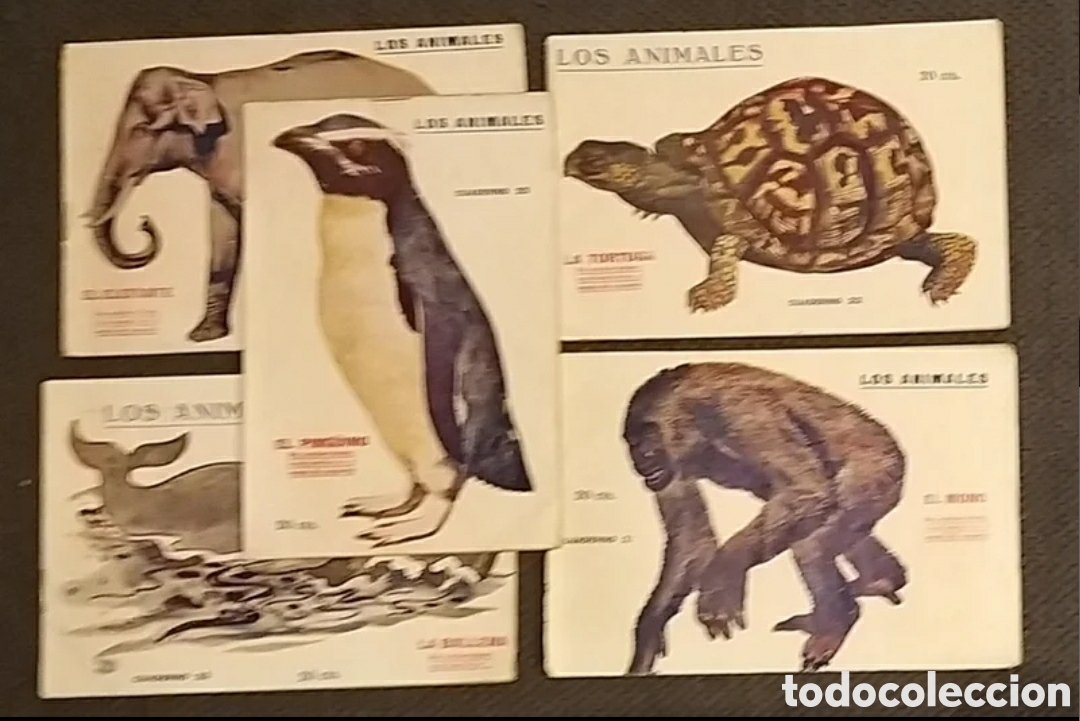 Libros antiguos: Los Animales. 4 cuadernos. 1919. - Foto 1