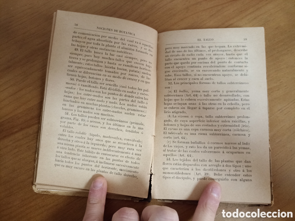 Libros antiguos: Nociones de Bot&aacute;nica. J. D. Hooker. Paris 1886 - Foto 3