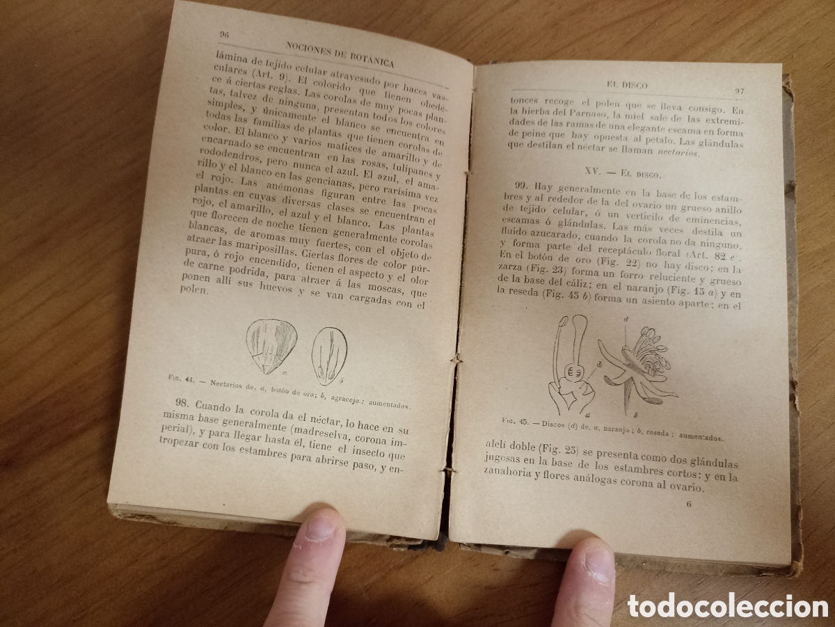 Libros antiguos: Nociones de Bot&aacute;nica. J. D. Hooker. Paris 1886 - Foto 4