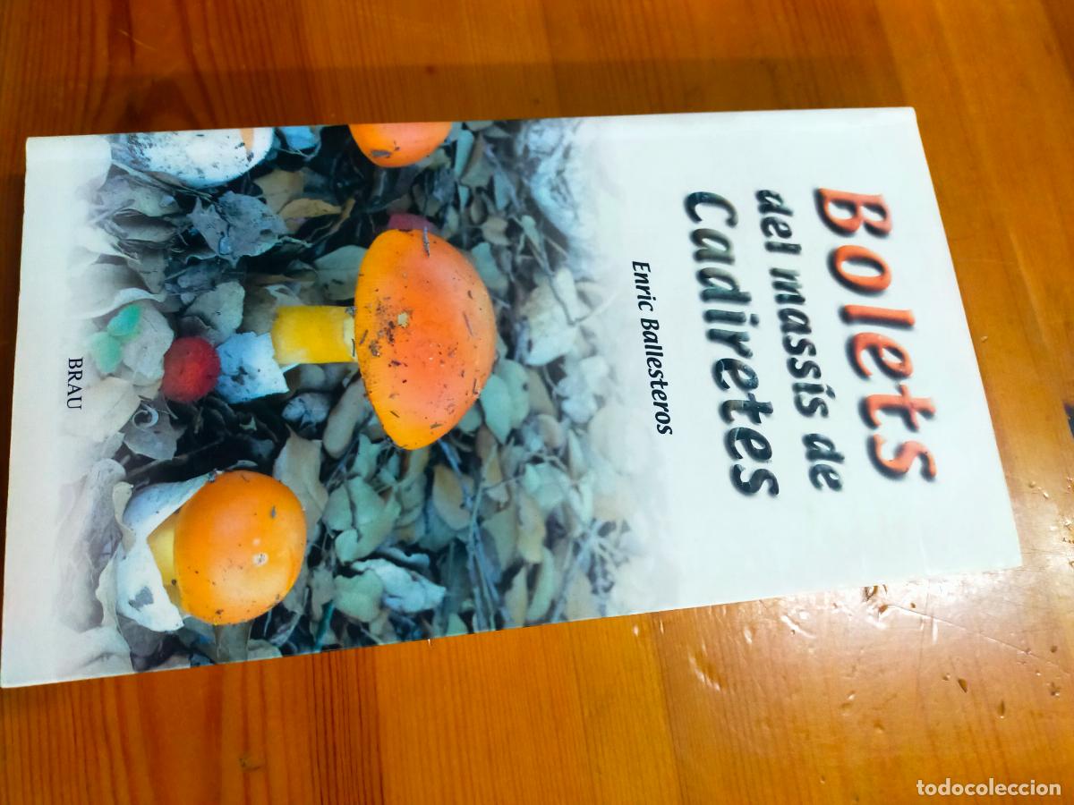Libros antiguos: BOLETS DEL MASSIS DE CADIRETES - ENRIC BALLESTEROS - Foto 3