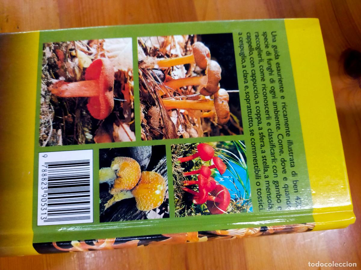 Libros antiguos: funghi - Foto 2