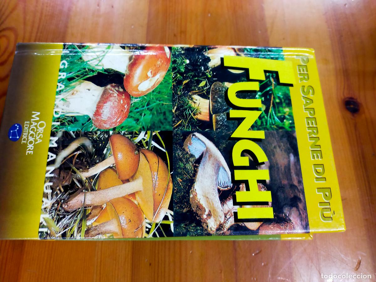 Libros antiguos: funghi - Foto 3