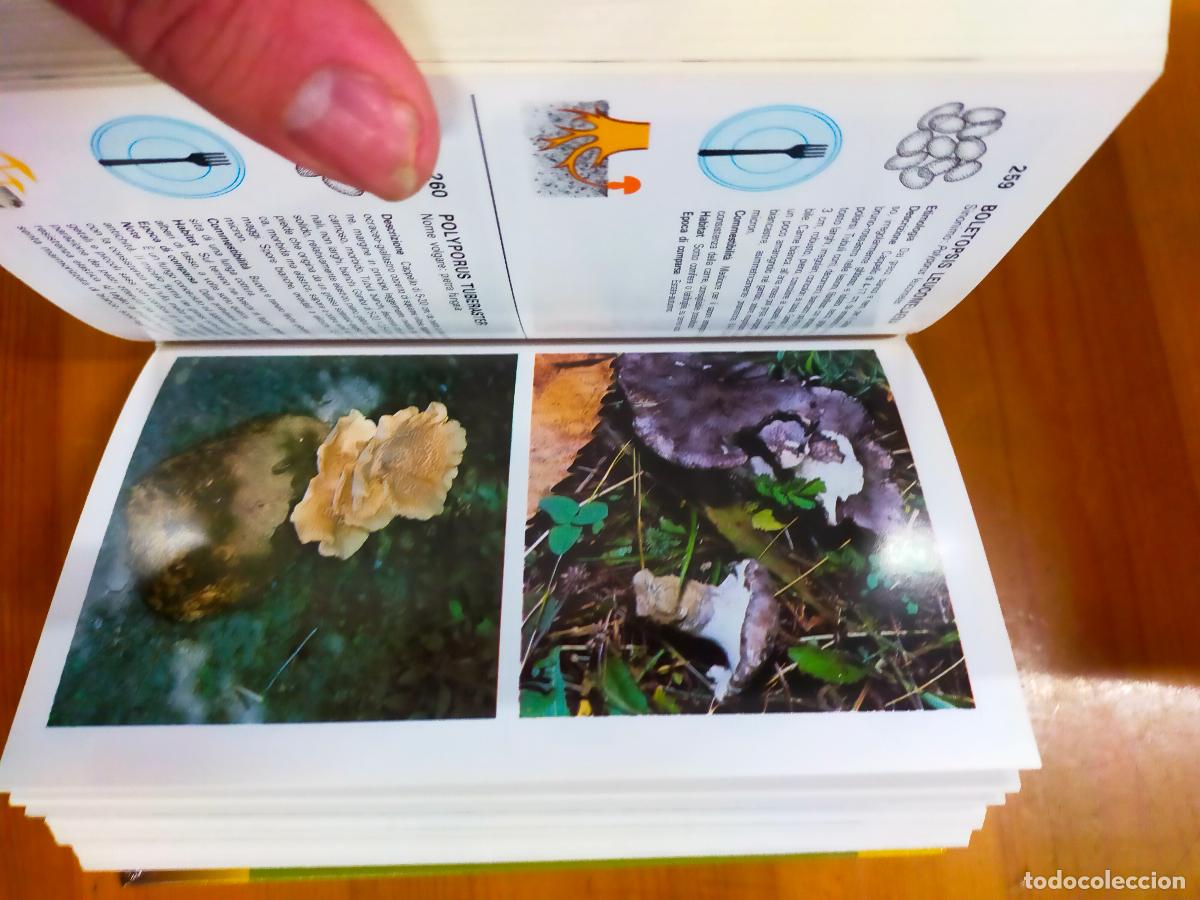 Libros antiguos: funghi - Foto 1