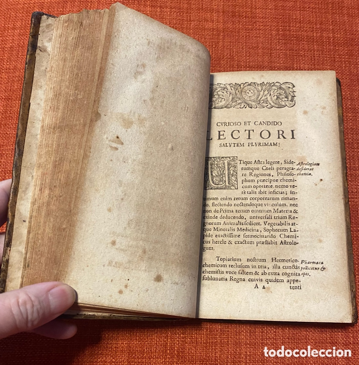 Libros antiguos: Opuscula M&eacute;dico-Chymica. Hummel - Foto 7