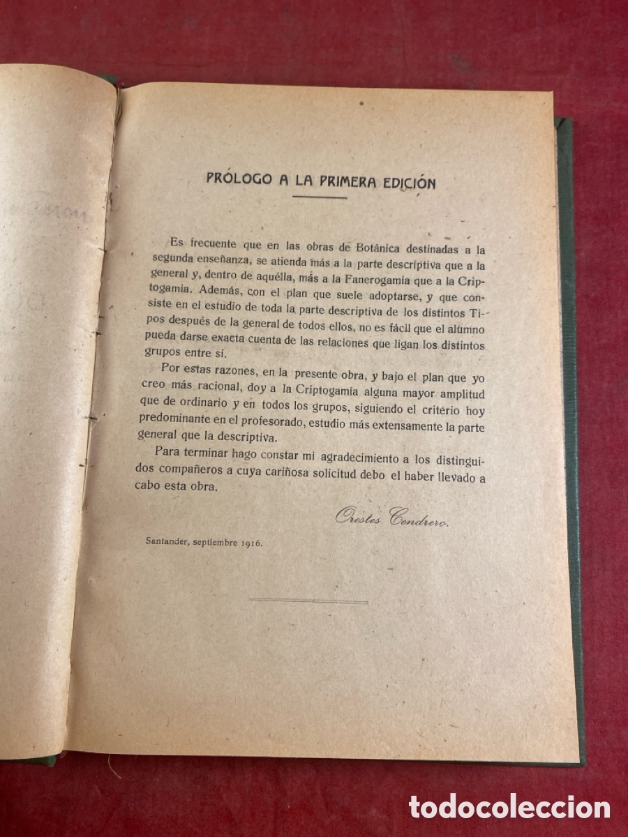 Libros antiguos: CURSO ELEMENTAL DE HISTORIA NATURAL BOT&Aacute;NICA - Foto 3