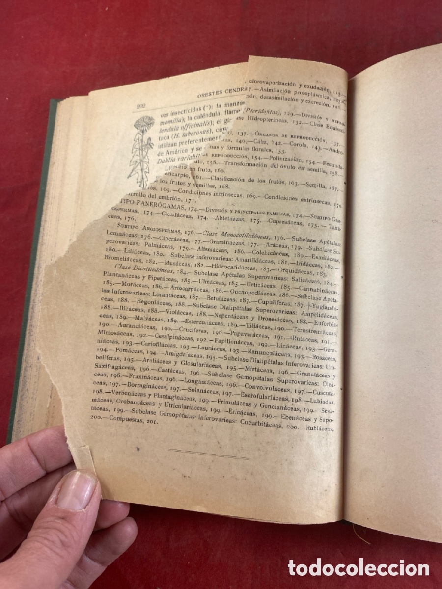 Libros antiguos: CURSO ELEMENTAL DE HISTORIA NATURAL BOT&Aacute;NICA - Foto 6