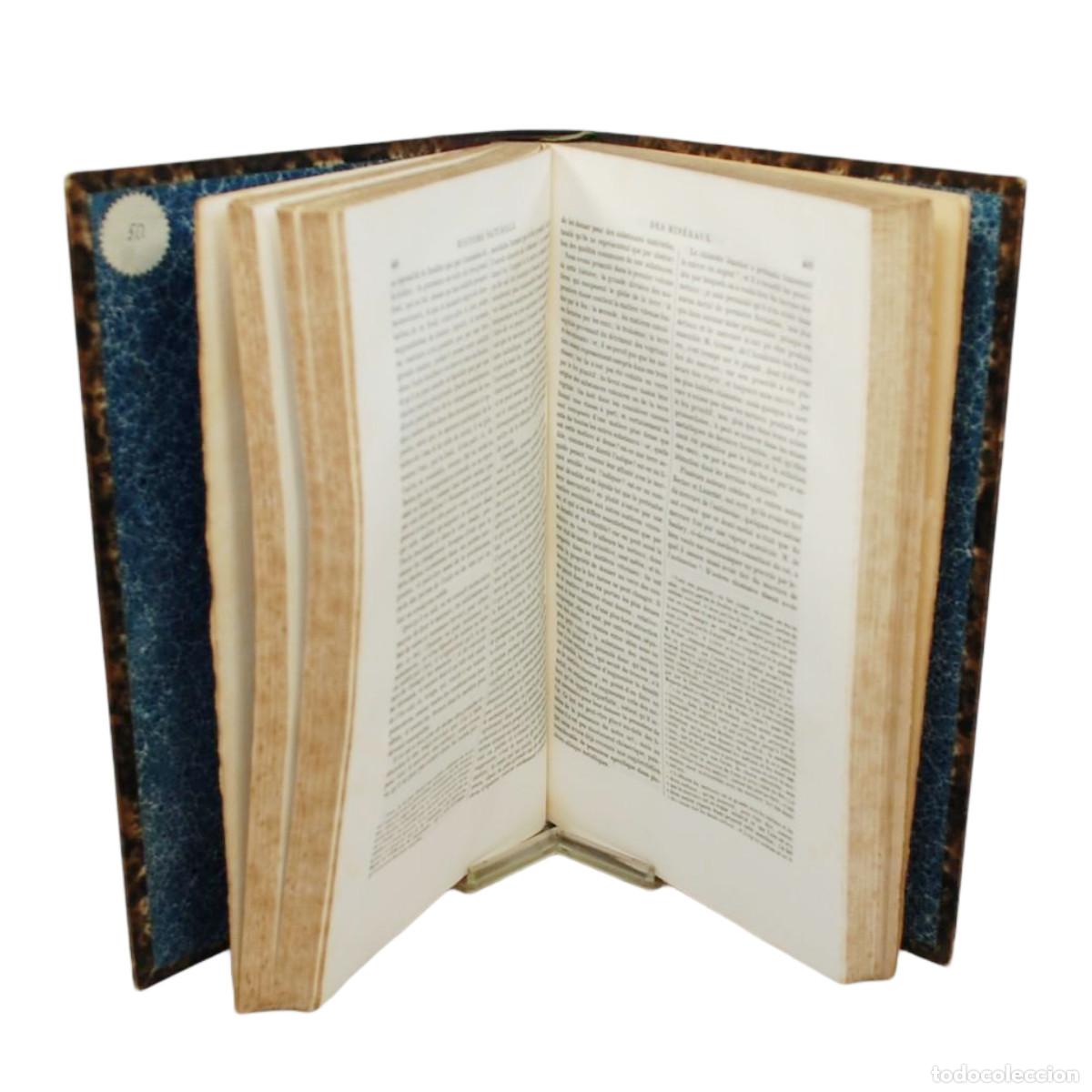 Libros antiguos: CONDE DE BUFFON - OEUVRES COMPLETES (THEORIE DE LA TERRE) - 1838 - Foto 3