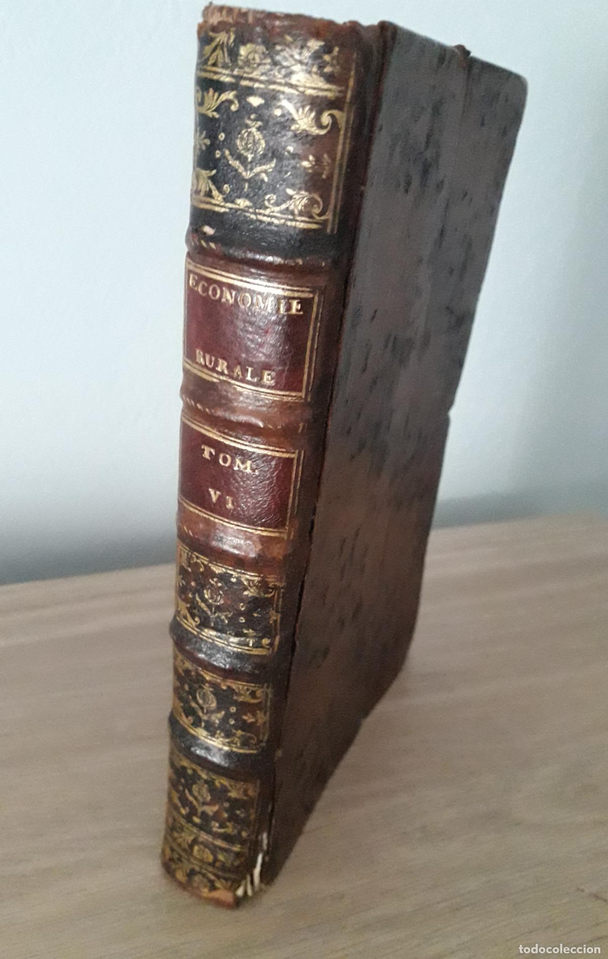 Libros antiguos: 1775 - L`&eacute;conomie rurale de vegetius. - Foto 4