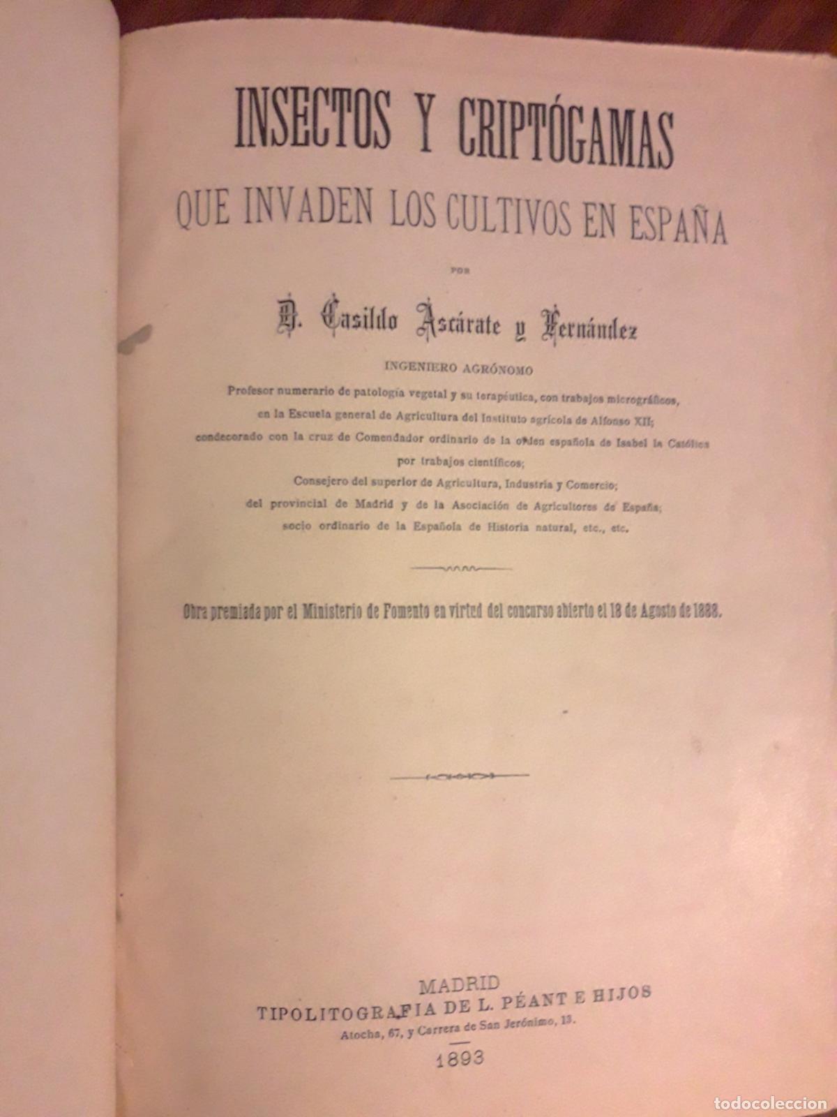 Libros antiguos: 1893. Insectos y Cript&oacute;gamas, que invaden los cultivos en Espa&ntilde;a - Foto 2