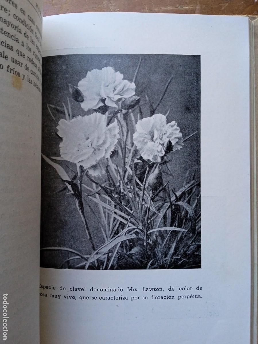 Libros antiguos: Mi jard&iacute;n y mis flores Horacio de la Vega - Foto 4