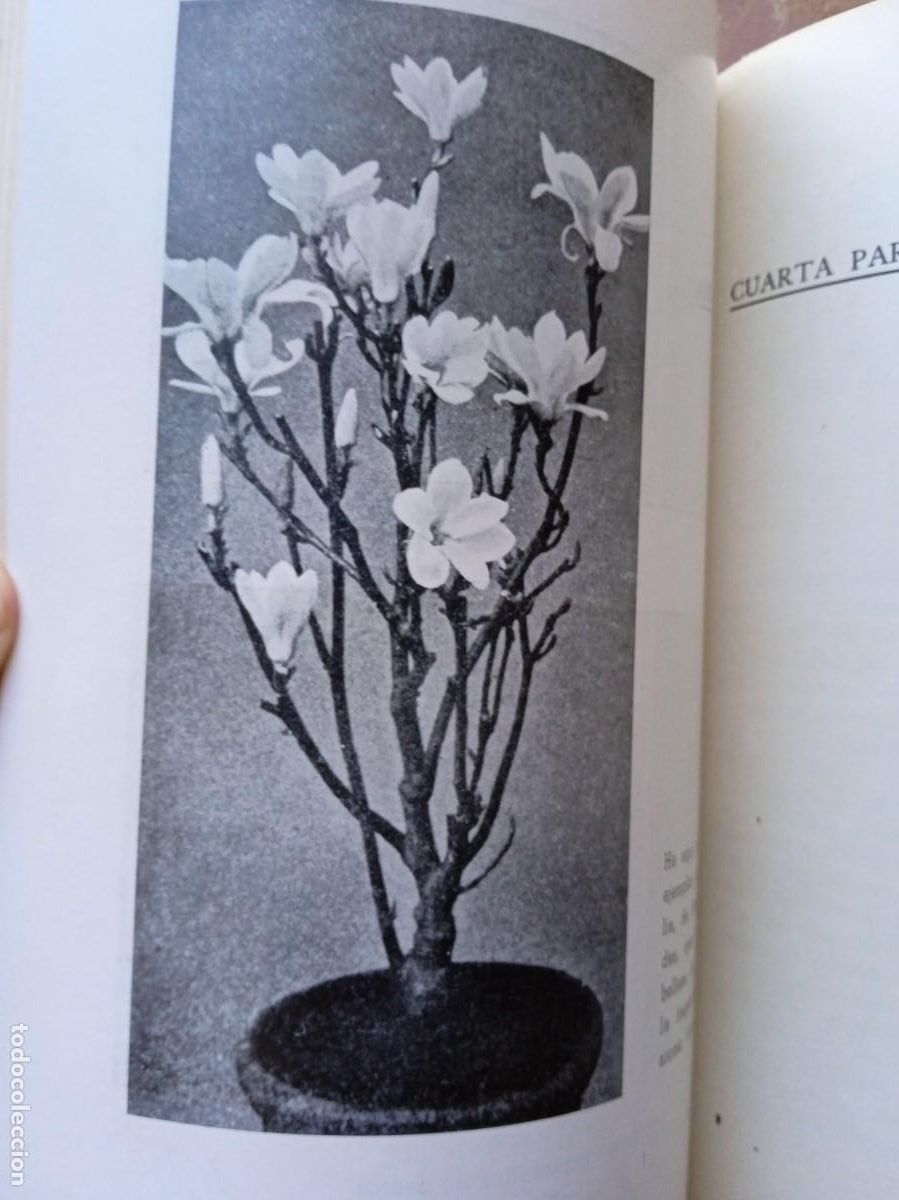 Libros antiguos: Mi jard&iacute;n y mis flores Horacio de la Vega - Foto 5