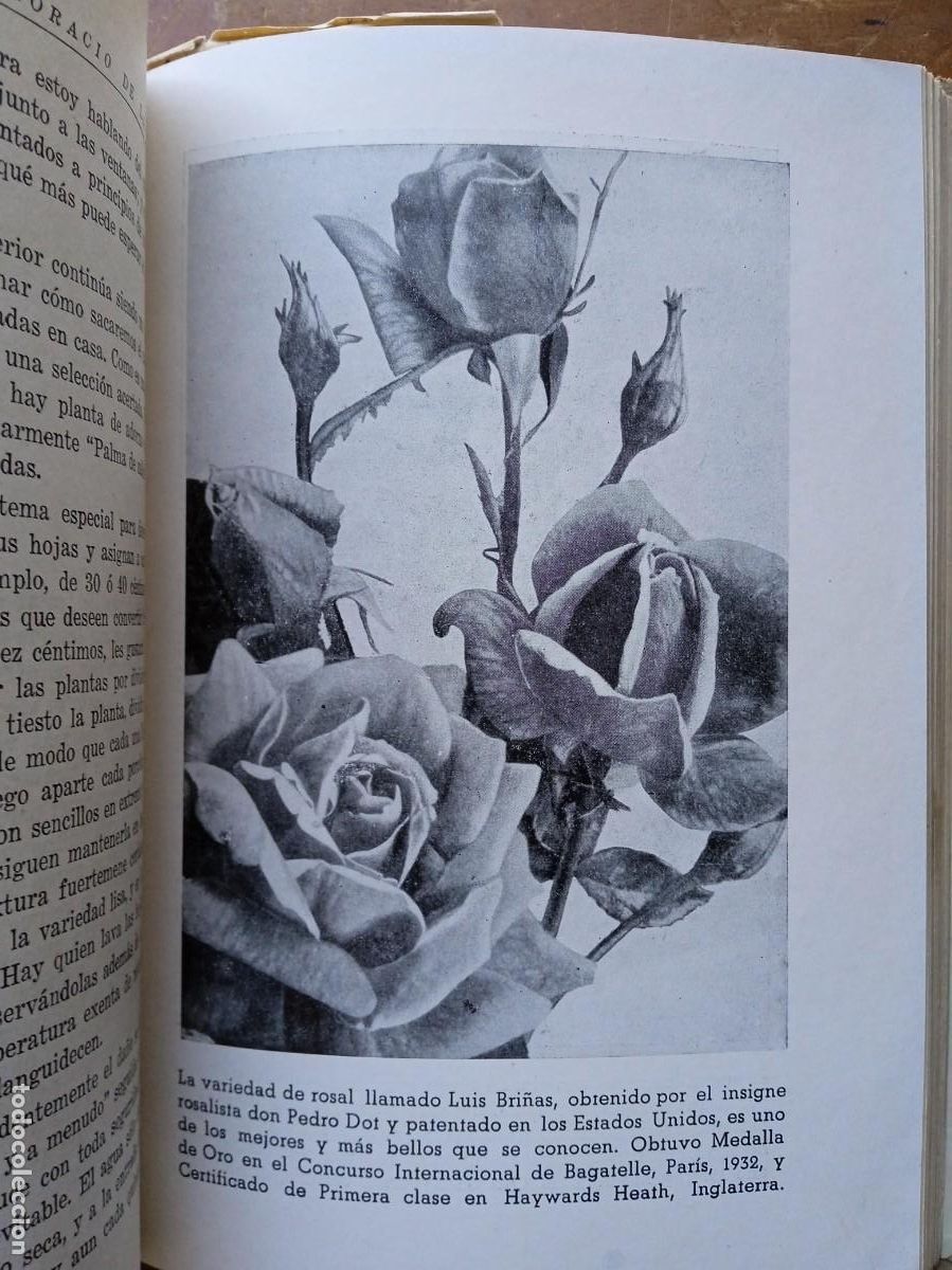 Libros antiguos: Mi jard&iacute;n y mis flores Horacio de la Vega - Foto 7