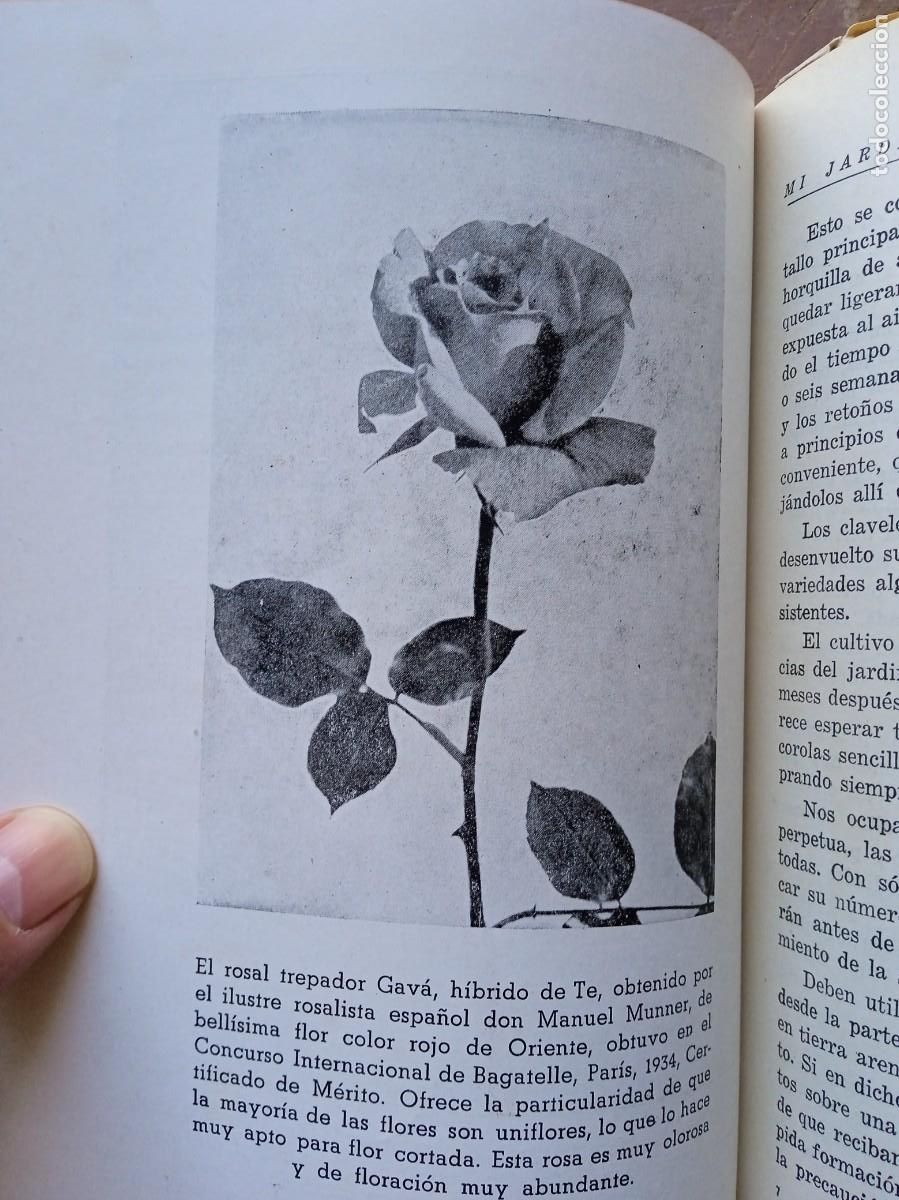 Libros antiguos: Mi jard&iacute;n y mis flores Horacio de la Vega - Foto 9