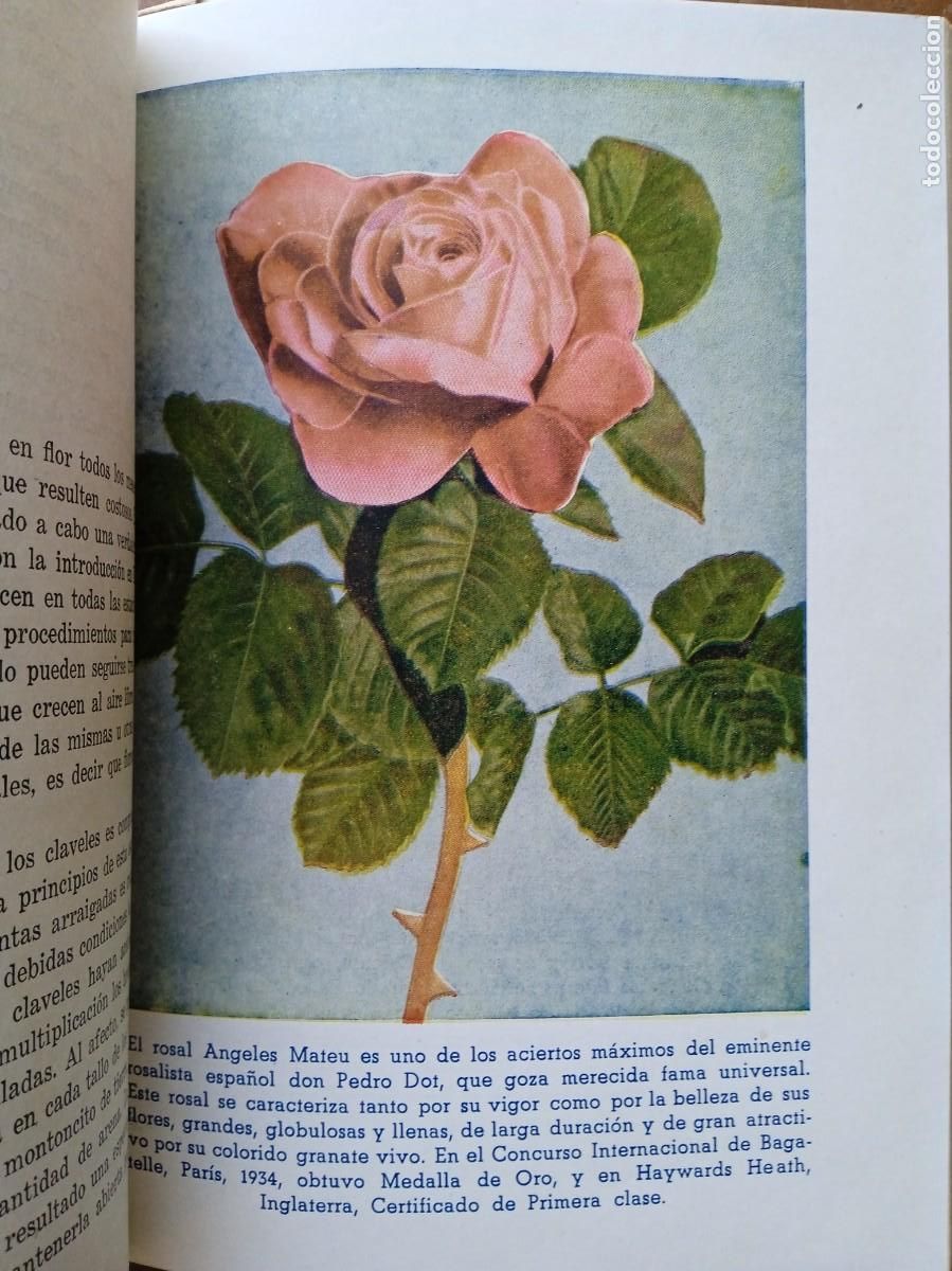 Libros antiguos: Mi jard&iacute;n y mis flores Horacio de la Vega - Foto 10