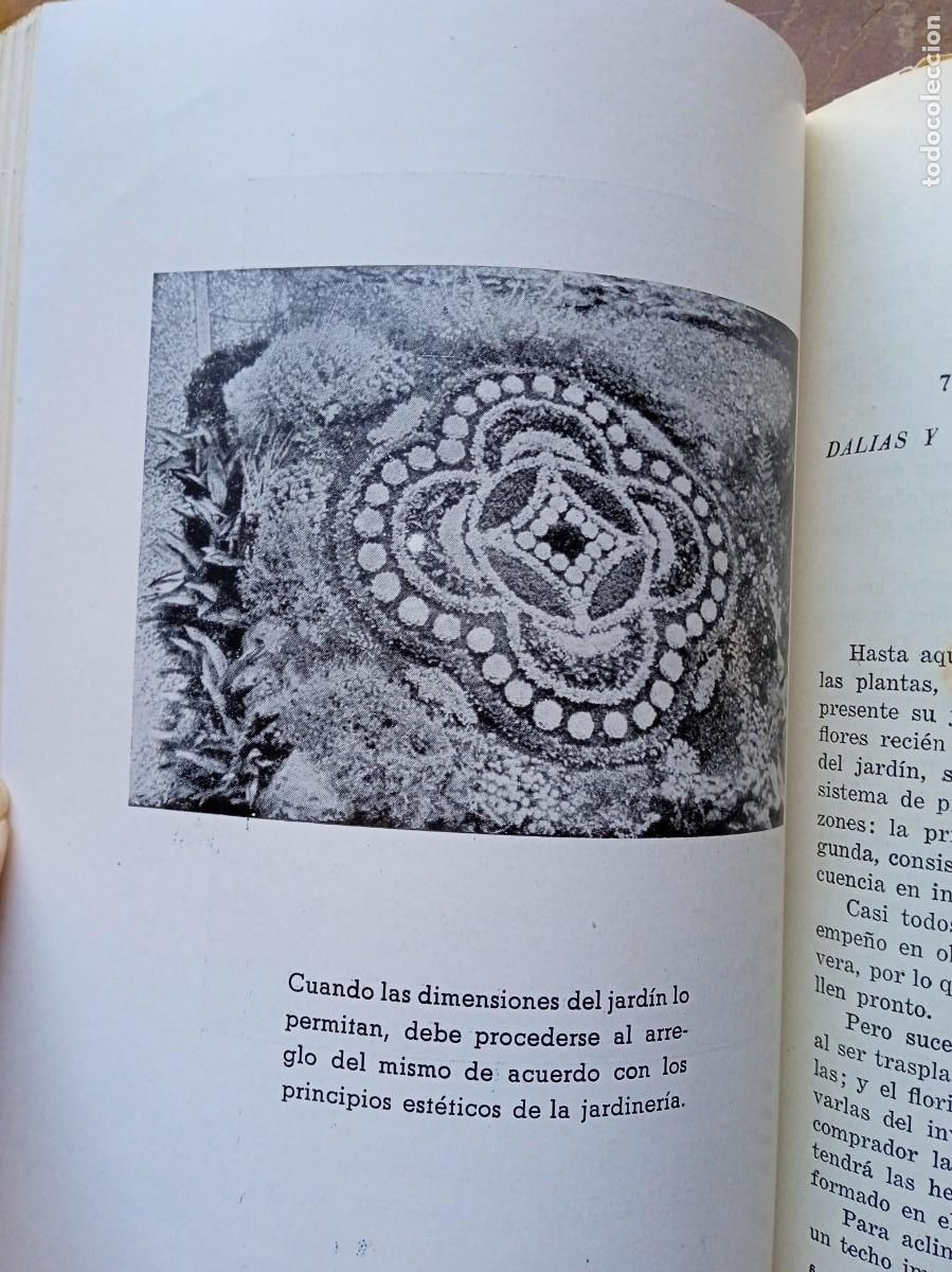 Libros antiguos: Mi jard&iacute;n y mis flores Horacio de la Vega - Foto 11