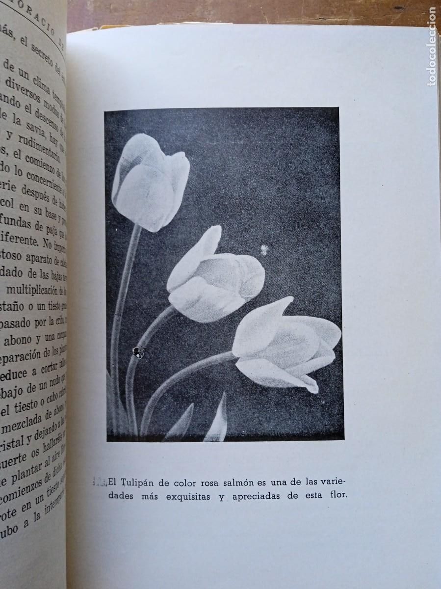 Libros antiguos: Mi jard&iacute;n y mis flores Horacio de la Vega - Foto 12