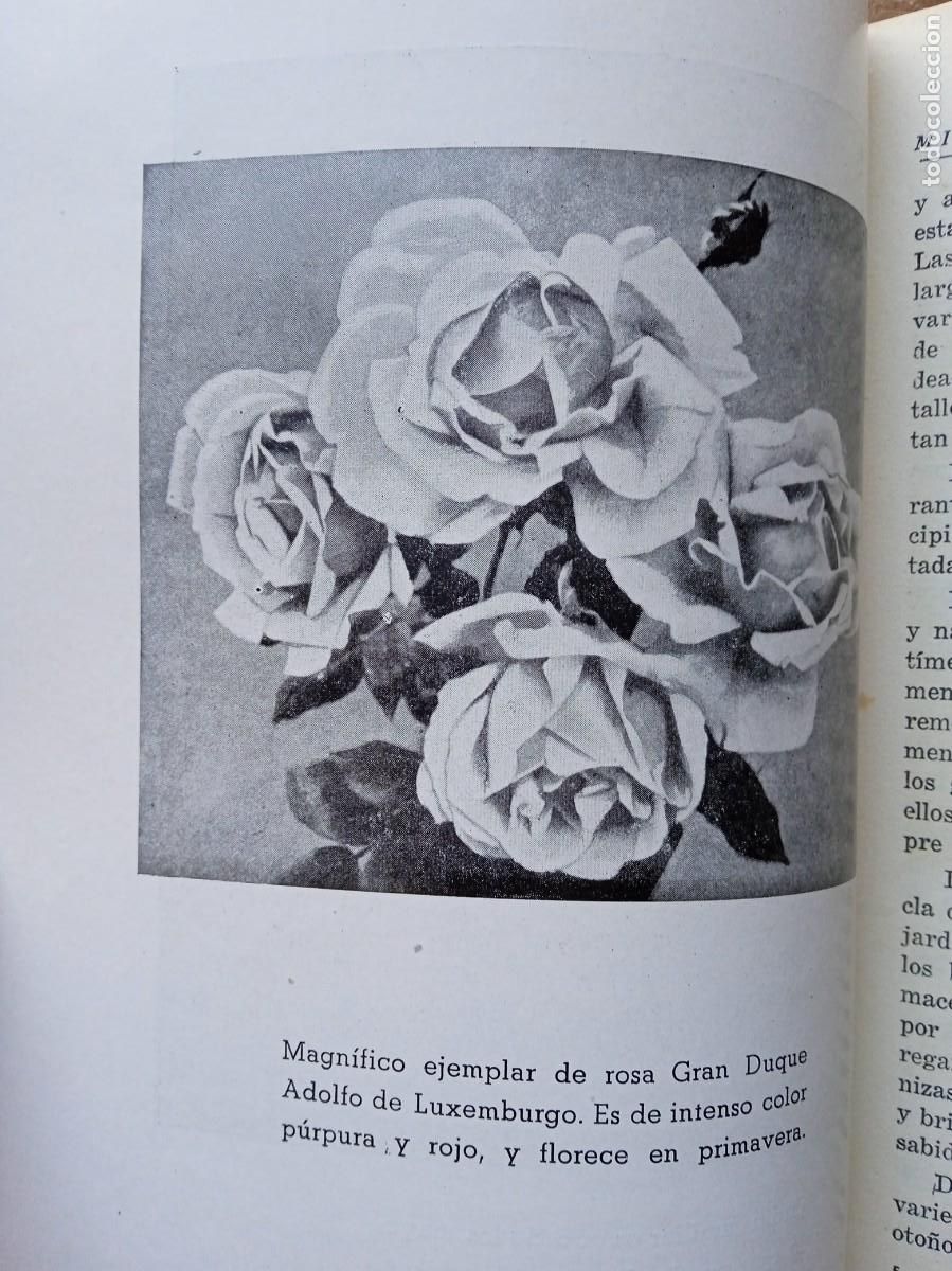 Libros antiguos: Mi jard&iacute;n y mis flores Horacio de la Vega - Foto 14