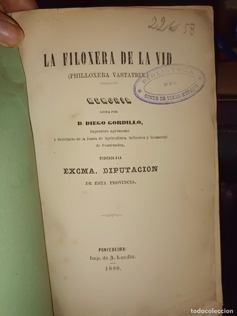Libros antiguos: LA FILOXERA DE LA VID A&Ntilde;O 1880 - Foto 4