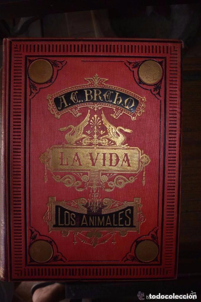 Libros antiguos: Historia de la vida de los animales. 6 tomos - Foto 1