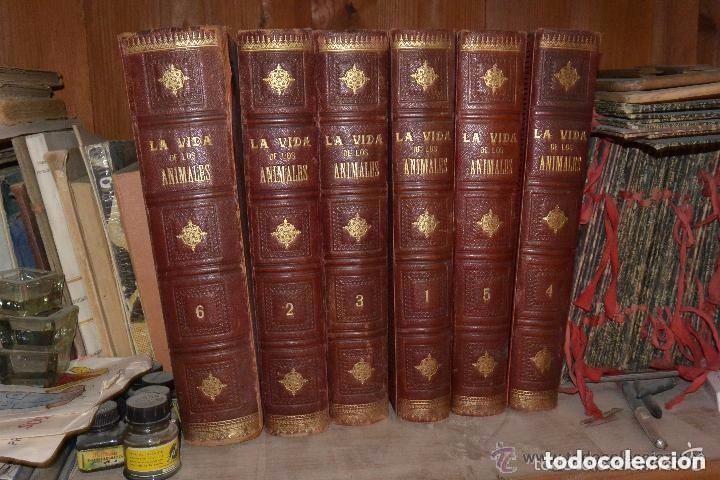 Libros antiguos: Historia de la vida de los animales. 6 tomos - Foto 2