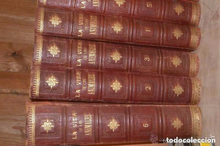 Libros antiguos: Historia de la vida de los animales. 6 tomos - Foto 3