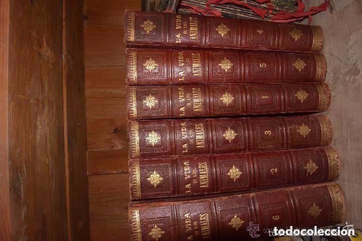 Libros antiguos: Historia de la vida de los animales. 6 tomos - Foto 4