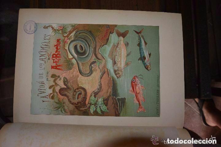 Libros antiguos: Historia de la vida de los animales. 6 tomos - Foto 5