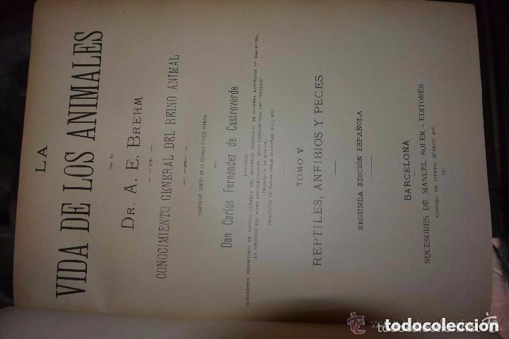 Libros antiguos: Historia de la vida de los animales. 6 tomos - Foto 6