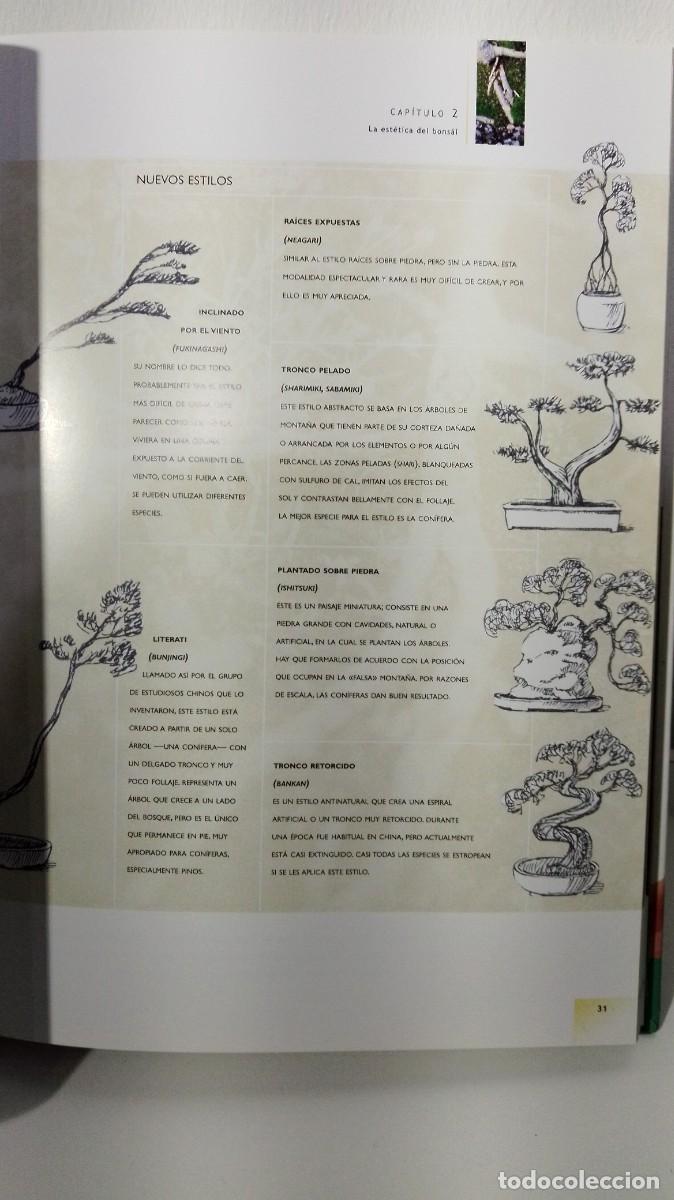 Libros antiguos: MANUAL DEL BONSAI (edit Blume)1 - Foto 4
