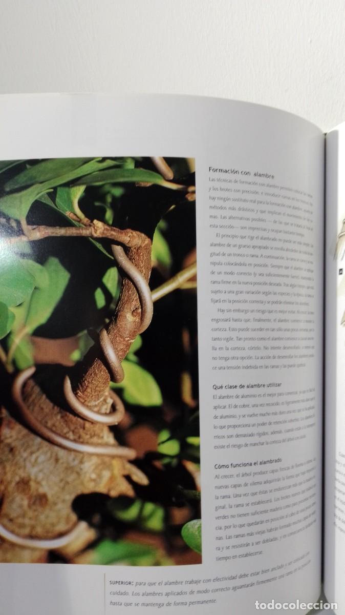Libros antiguos: MANUAL DEL BONSAI (edit Blume)1 - Foto 5