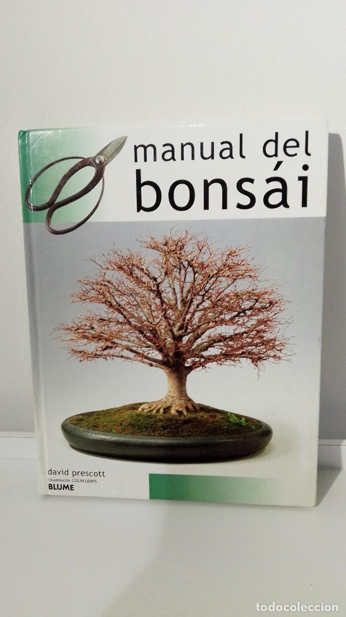 Libros antiguos: MANUAL DEL BONSAI (edit Blume)1 - Foto 1