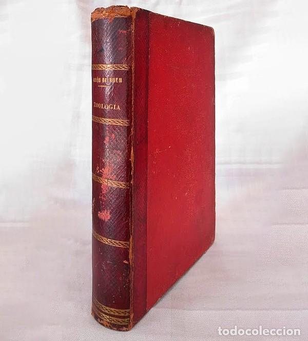 Libros antiguos: Zoolog&iacute;a. Od&oacute;n de Buen. 1890. - Foto 1