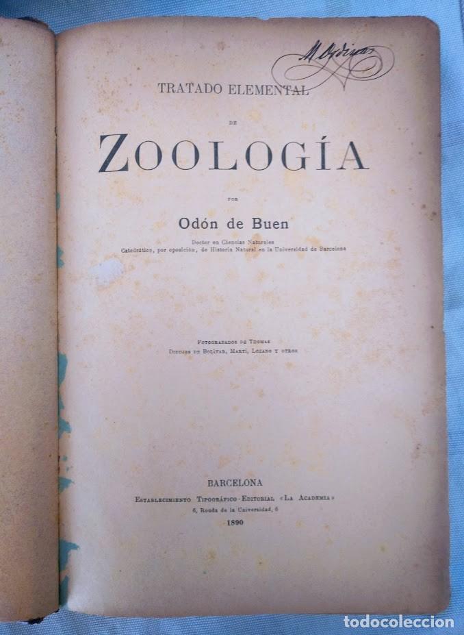 Libros antiguos: Zoolog&iacute;a. Od&oacute;n de Buen. 1890. - Foto 3