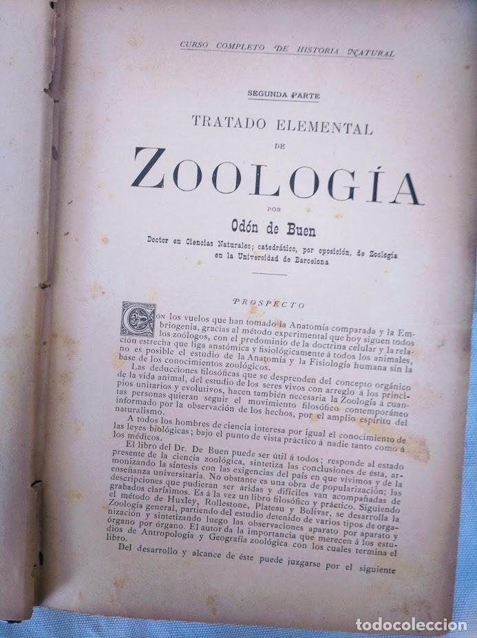 Libros antiguos: Zoolog&iacute;a. Od&oacute;n de Buen. 1890. - Foto 4