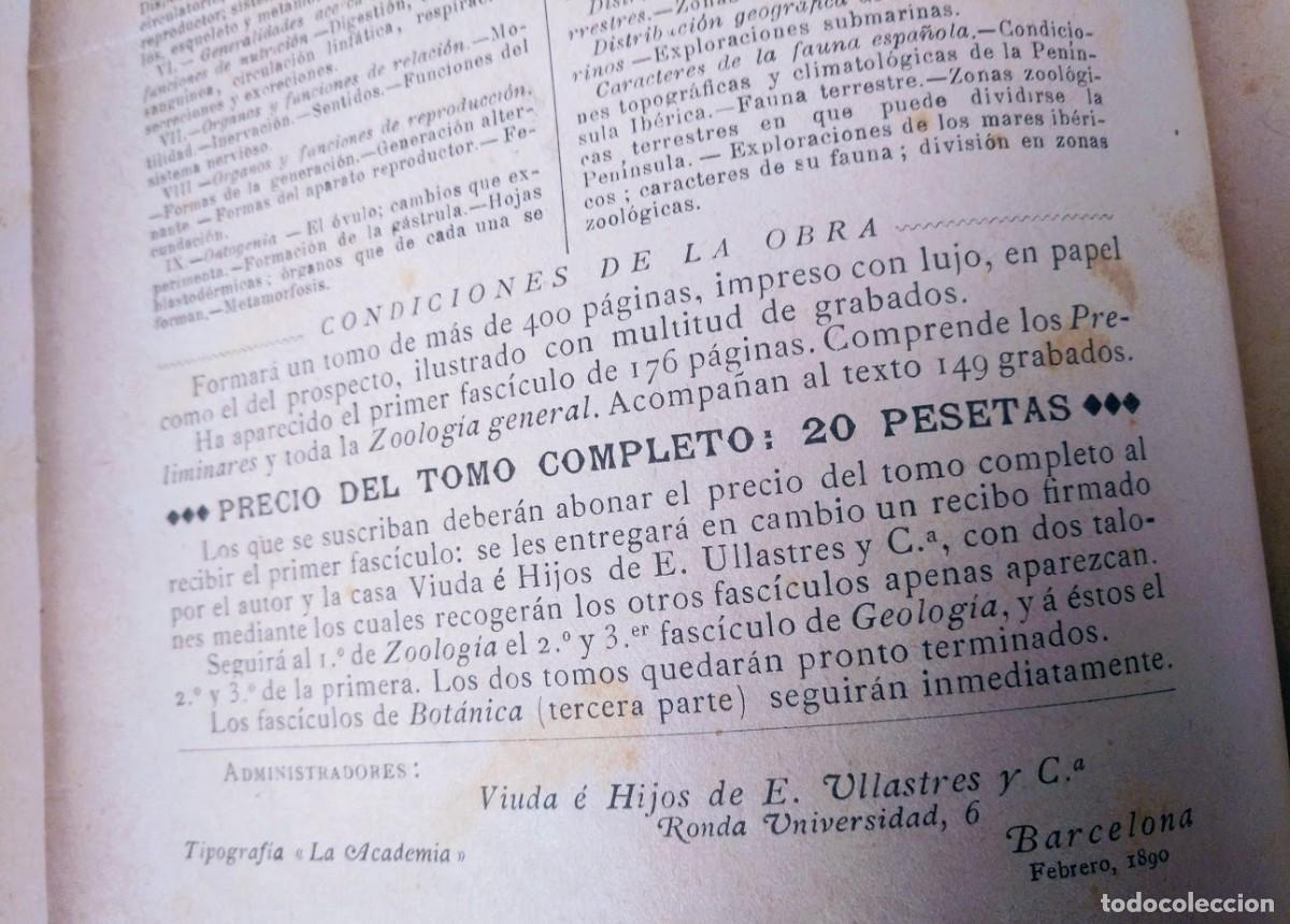 Libros antiguos: Zoolog&iacute;a. Od&oacute;n de Buen. 1890. - Foto 5