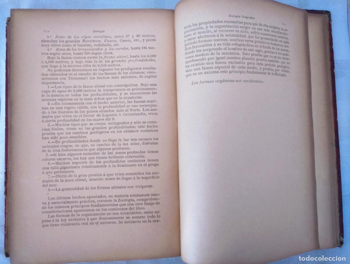 Libros antiguos: Zoolog&iacute;a. Od&oacute;n de Buen. 1890. - Foto 13