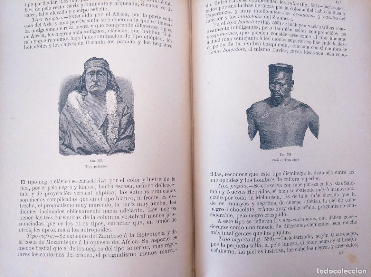 Libros antiguos: Zoolog&iacute;a. Od&oacute;n de Buen. 1890. - Foto 14
